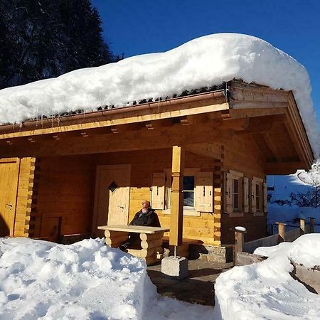 Chalet Sonnheim Lofer Dış mekan fotoğraf